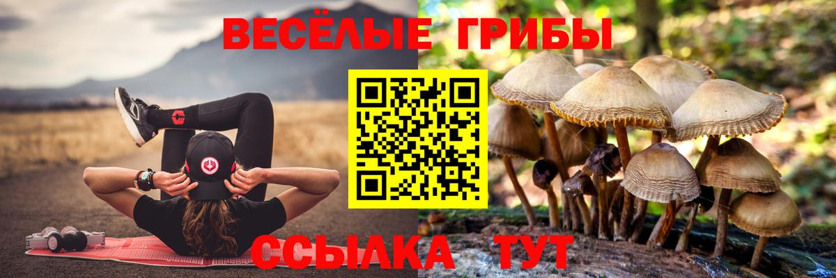 Галлюциногенные грибы Psilocybine cubensis  Вход с VPN  Пыть-Ях 